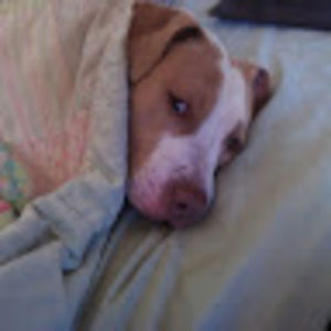 Meet your Posher, Adriana